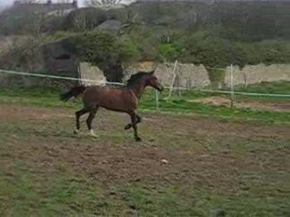 Vidéo Roméo (96)