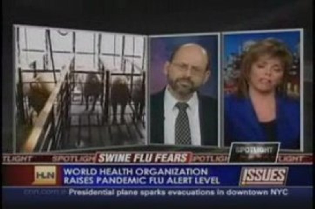 swine flu virus  factory farms news cnn media