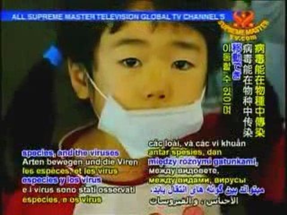 Swine Flu & Factory Farming