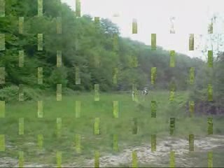 Darling lilas and me