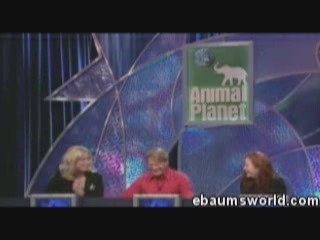 Komik papagan-Funny Bird