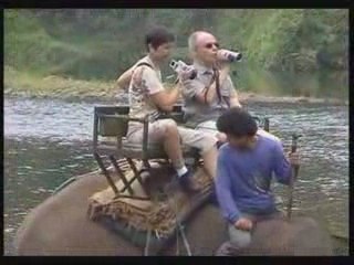 Balade dos éléphant Thaîlande 2008