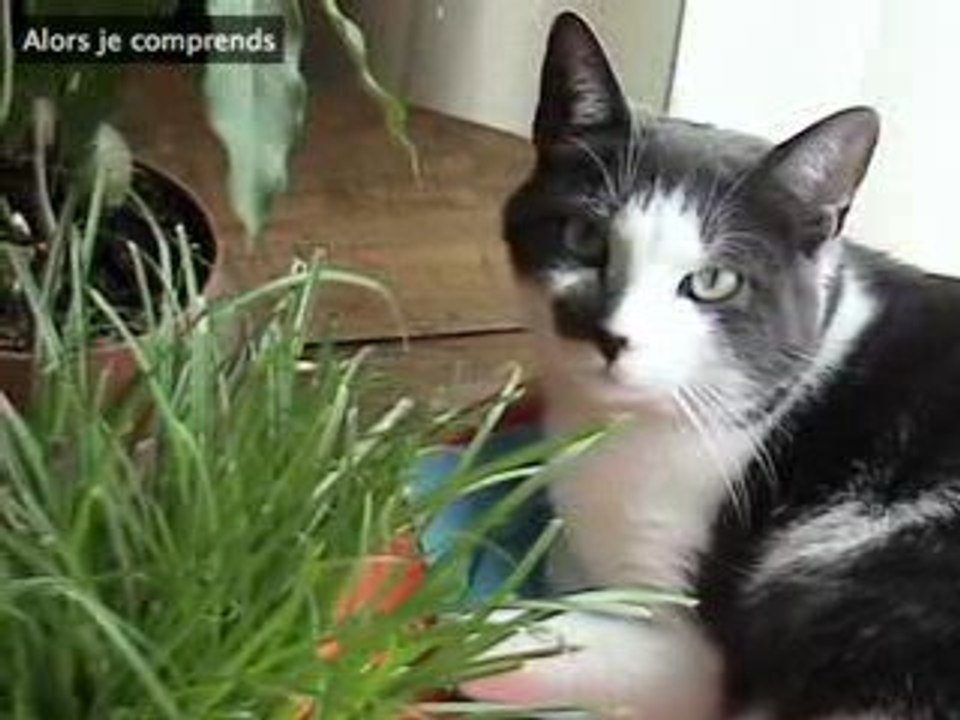LUIGI dans son Jardin