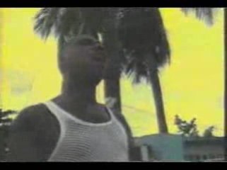 BURRO BANTON - bible again