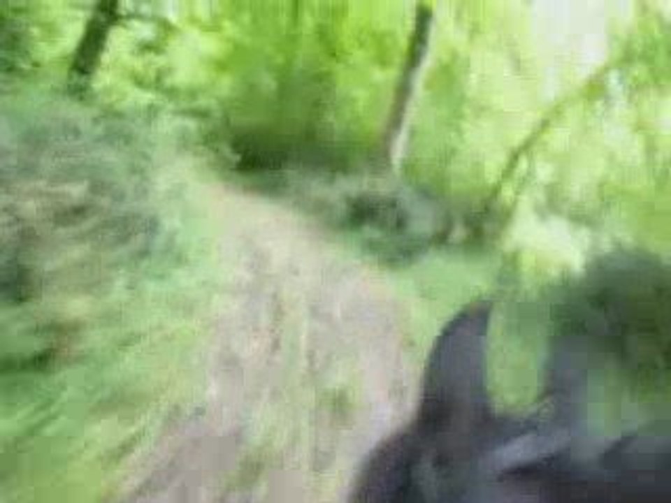 3 mai galop