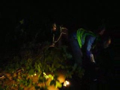 rando du 020509 un grizzly ne se plante jamais !!!!!!