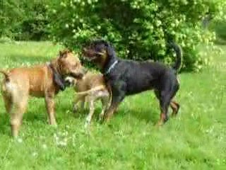 barbeuk 1er mai part 2