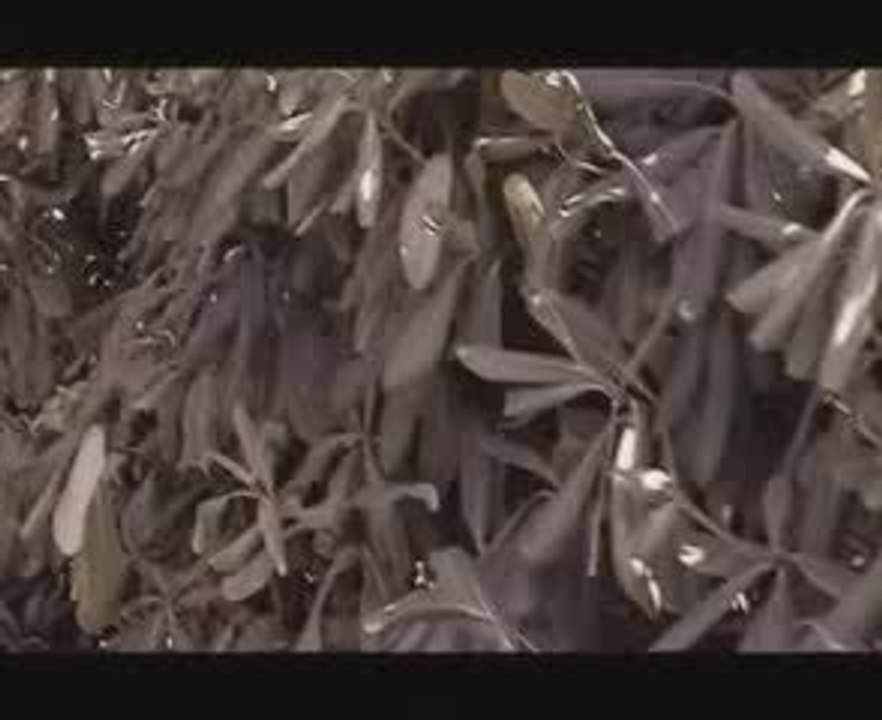 Juba- Google nbsp;Video2