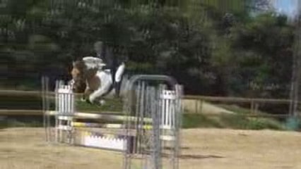 CSO Alluets 25-04-09