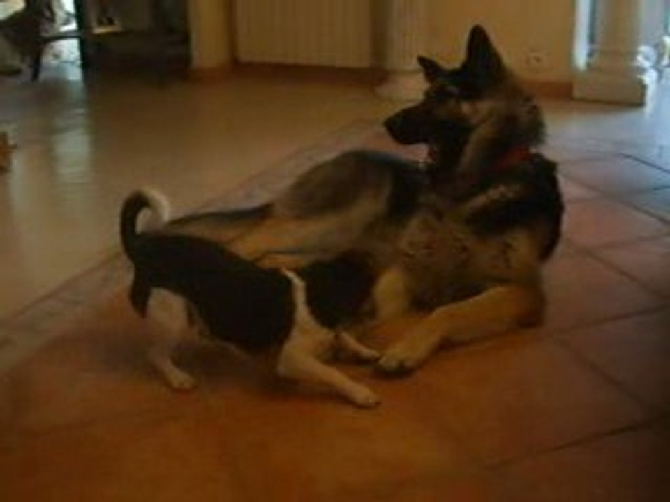 lyrco & nero