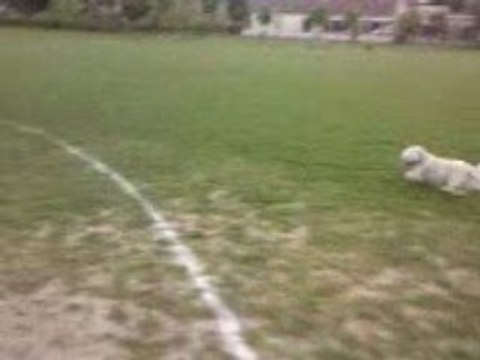 Yosan, Jenny et Kâline sur le stade !
