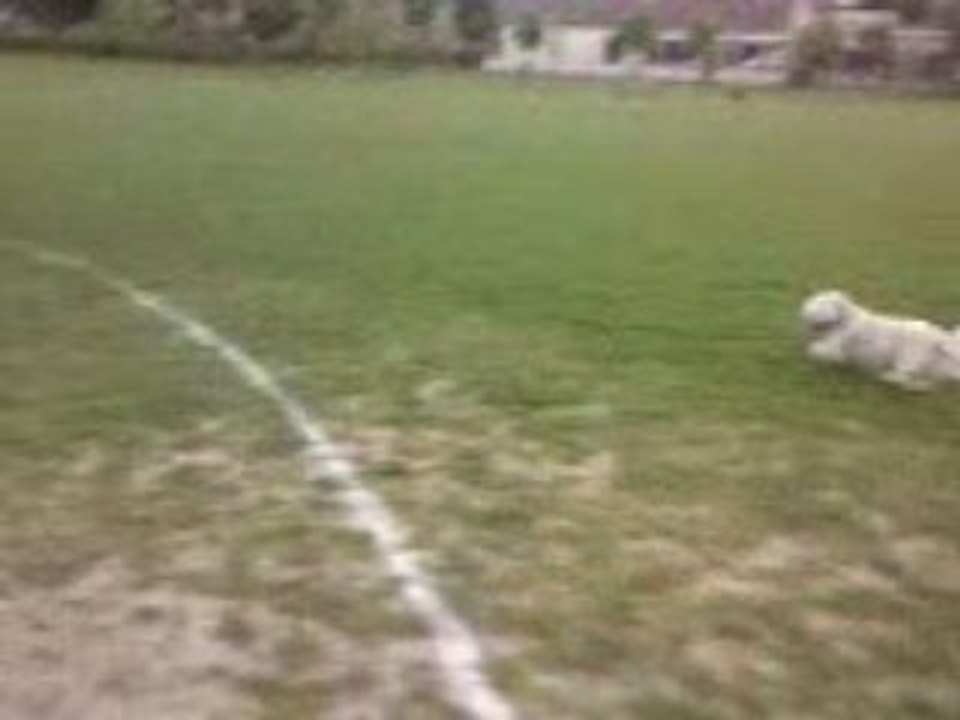 Yosan, Jenny et Kâline sur le stade !