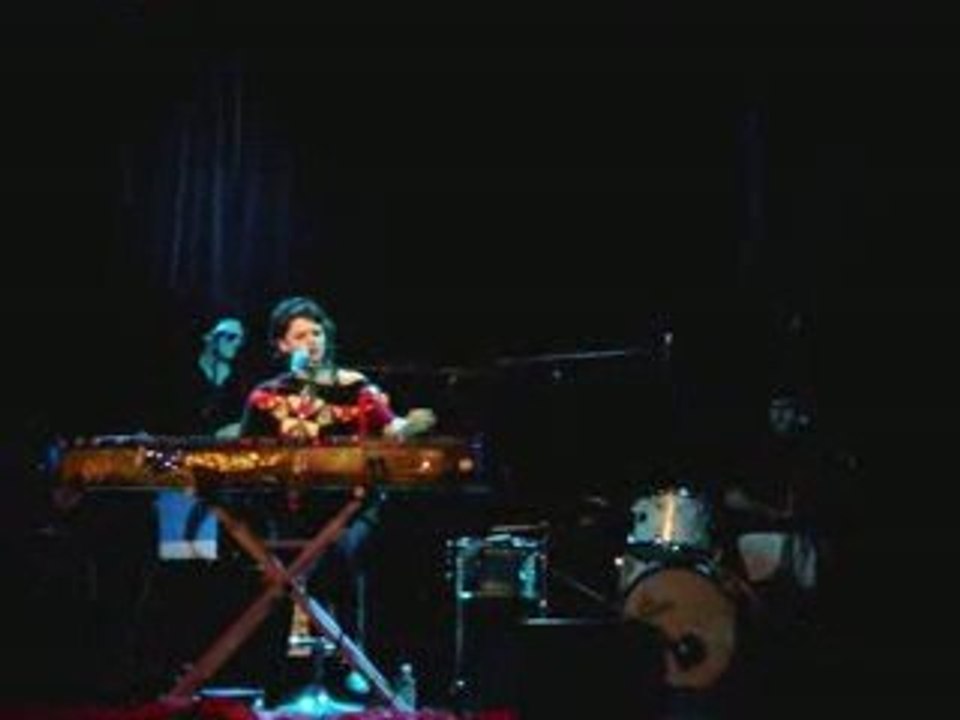 Chat en live "Foret"