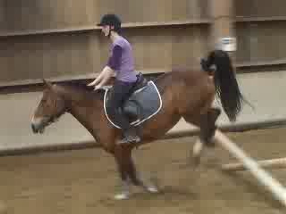 Moi & Haighmoor
