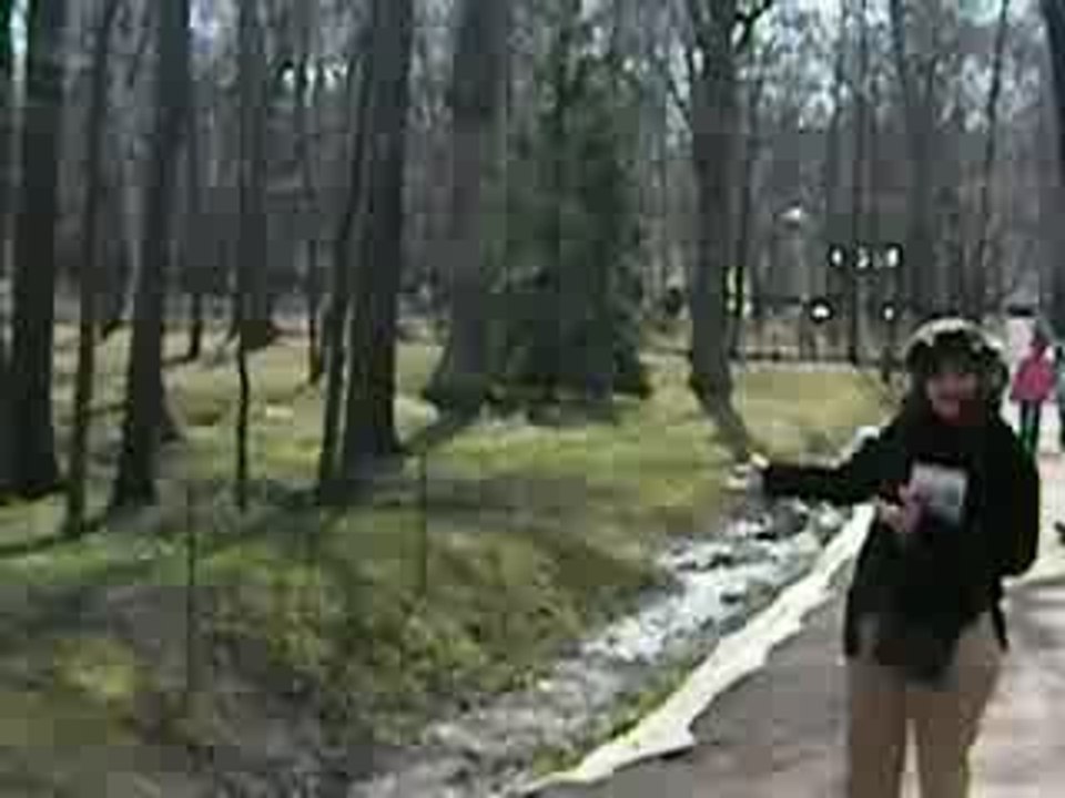 Un oiseau vole vers Annie