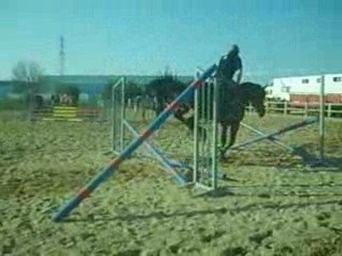 saut de puces a cheval