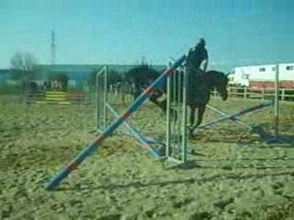 saut de puces a cheval