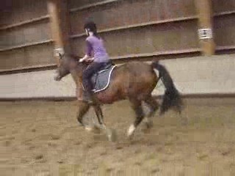 Moi & Haighmoor