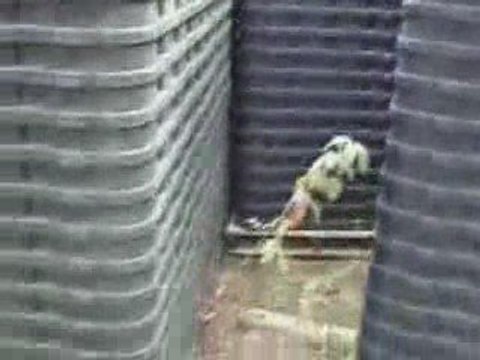 Alex Jones - 500.000 Plastic Coffins FOR YOU!!!