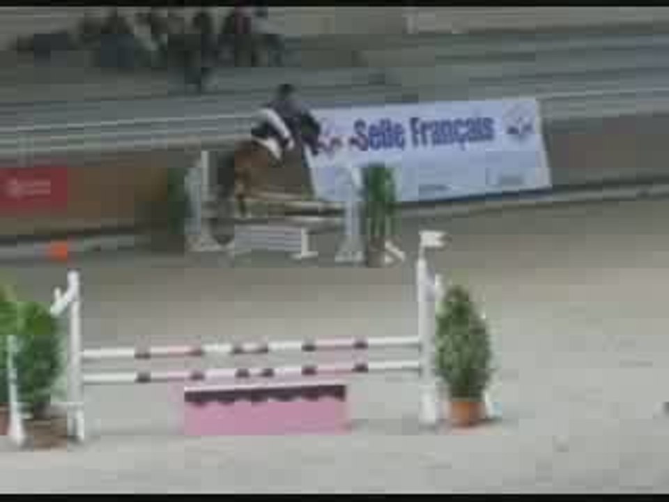 Poney sous les Pommiers 2009 rien