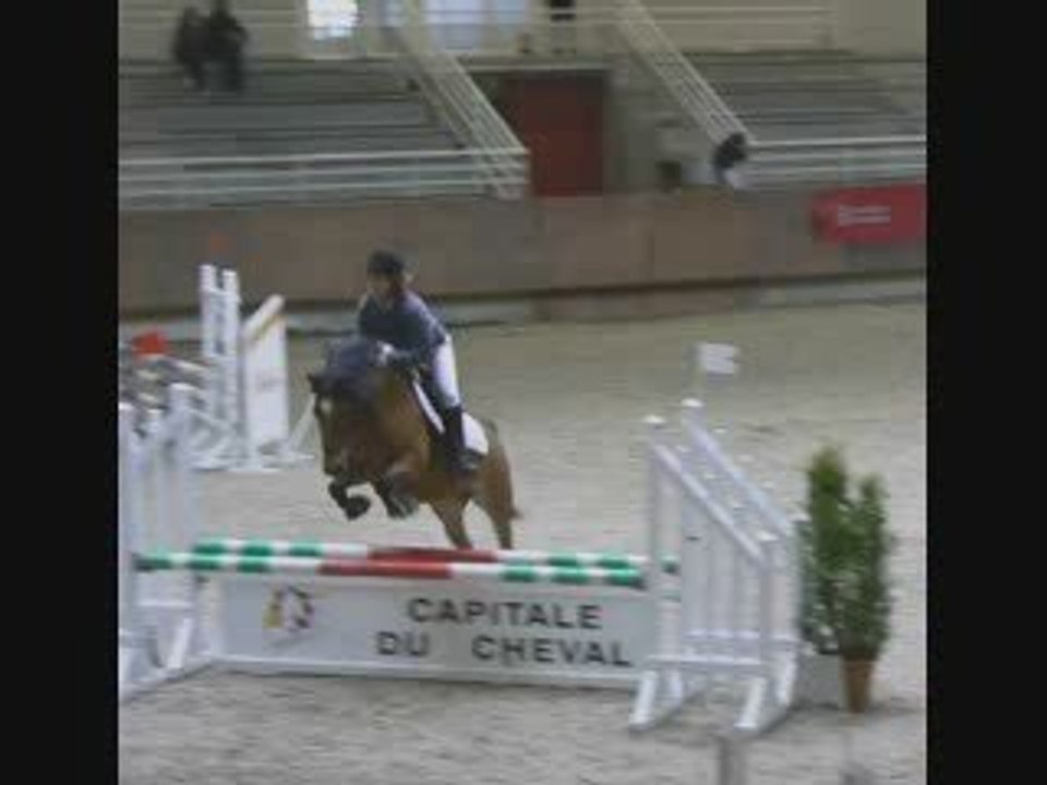 Poneys sous les Pommiers 2009 tout