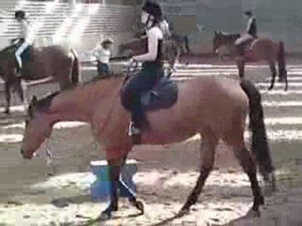 Séance étho 03 05 09