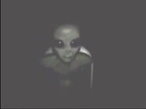 Captive Gray alien Area 51 Extraterrestre Gris