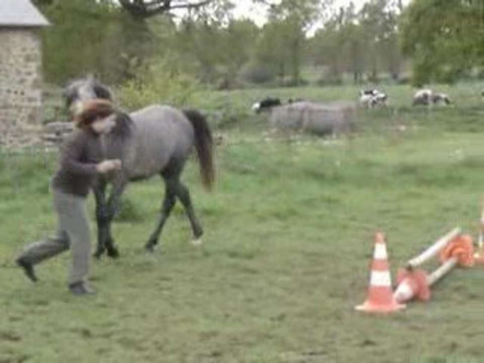 MOV02508
