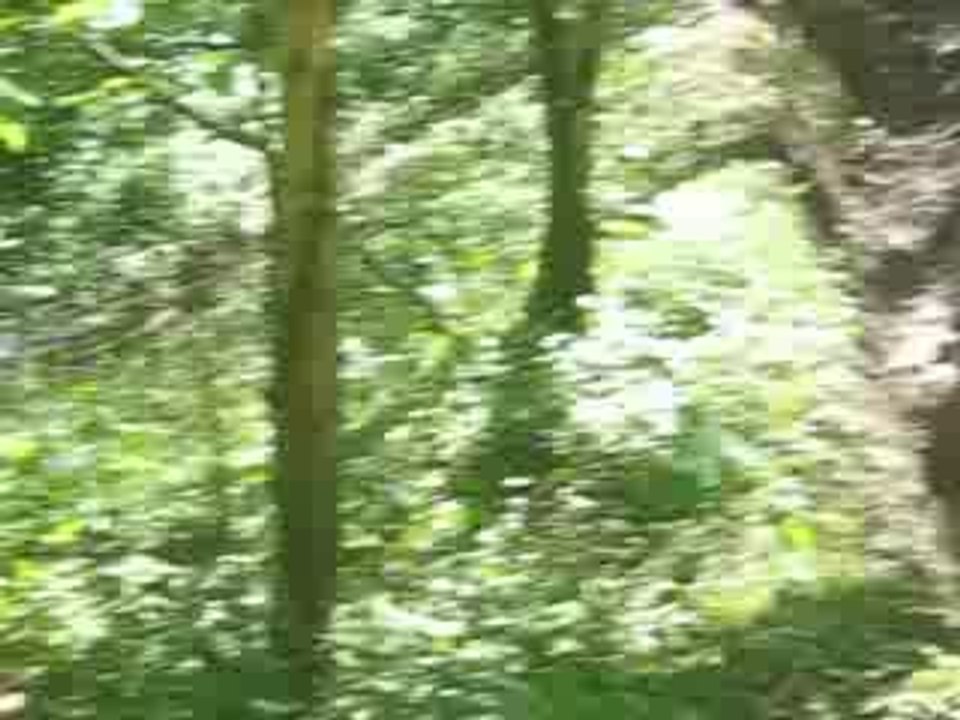 Rando 010509 046
