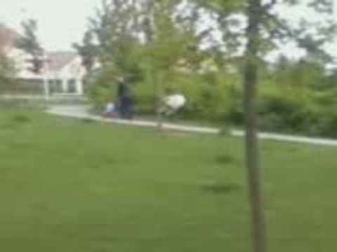 ptdrrr la video le povre chat =D