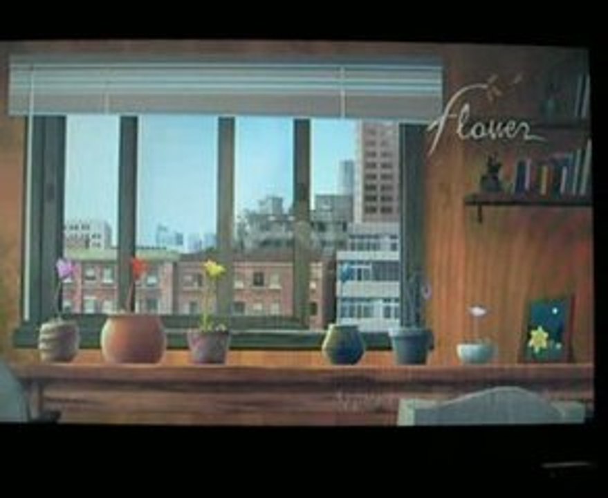Videotest Flower