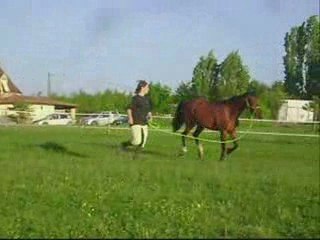 Séance du 2 mai 2009