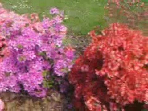 Les parcs et jardin public a Limoges