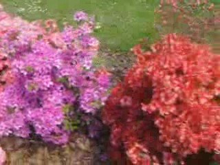 Les parcs et jardin public a Limoges