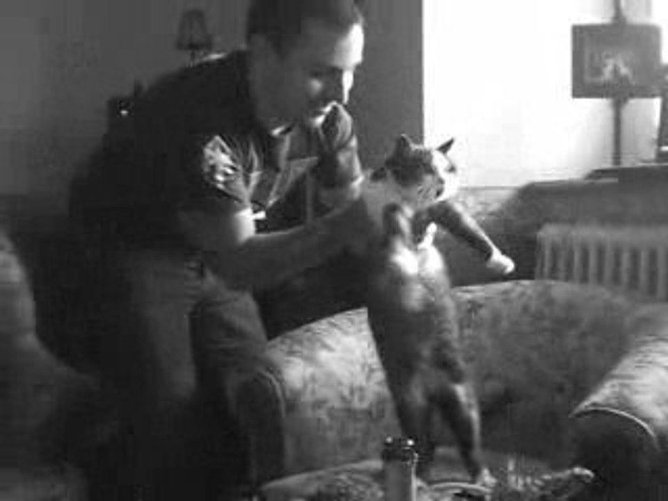 Le chat danse sur Patrick Sebastien