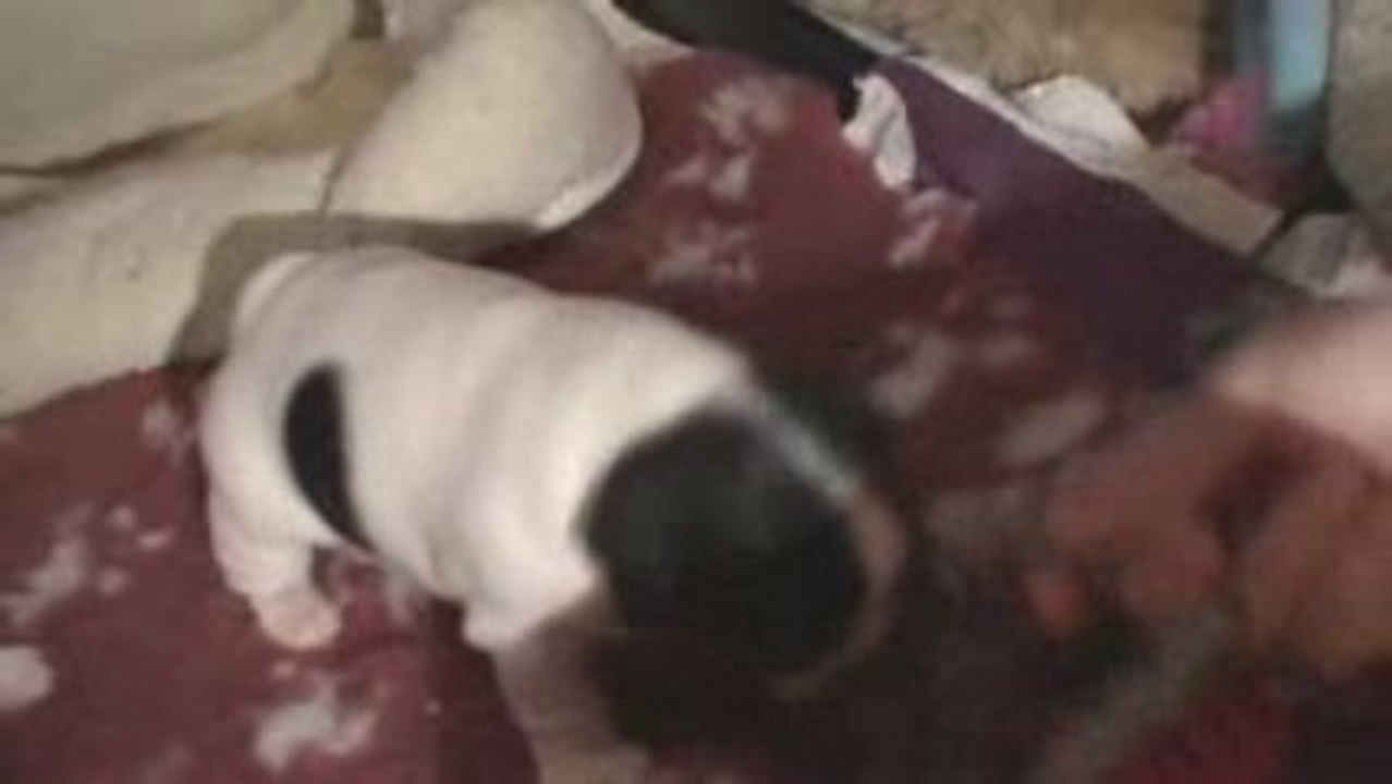 easy la plus belle !!!