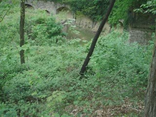 Visite_Fort_Cormeilles-en-Parisis