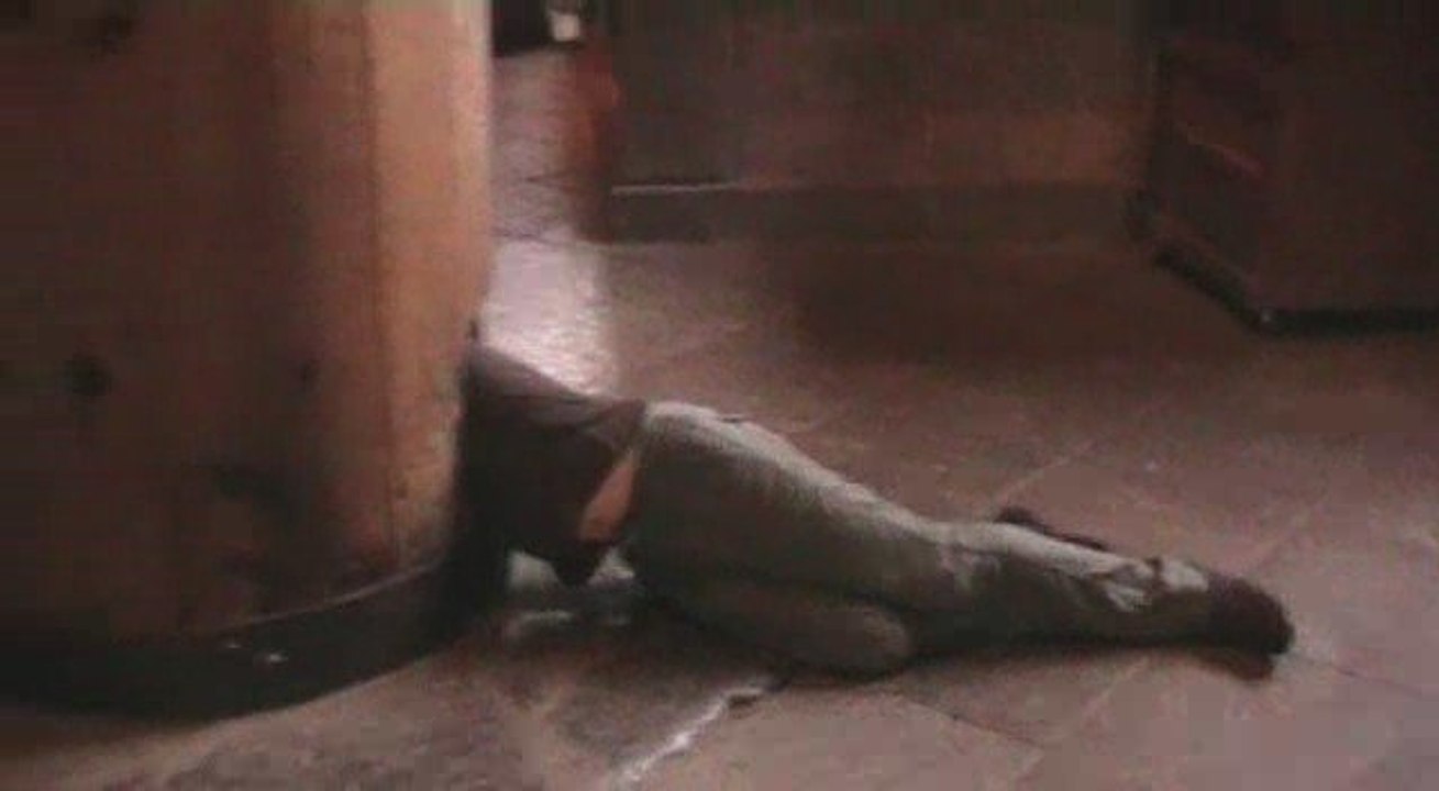 Pocket Japan #26 - Nara, Daibutsu & les Daims Sacrés