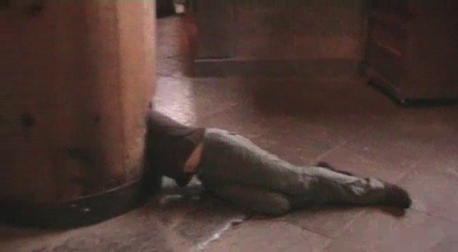 Pocket Japan #26 - Nara, Daibutsu & les Daims Sacrés