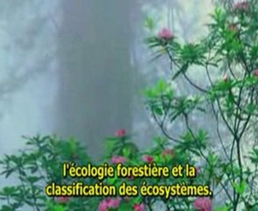 documentire de Alex Jones