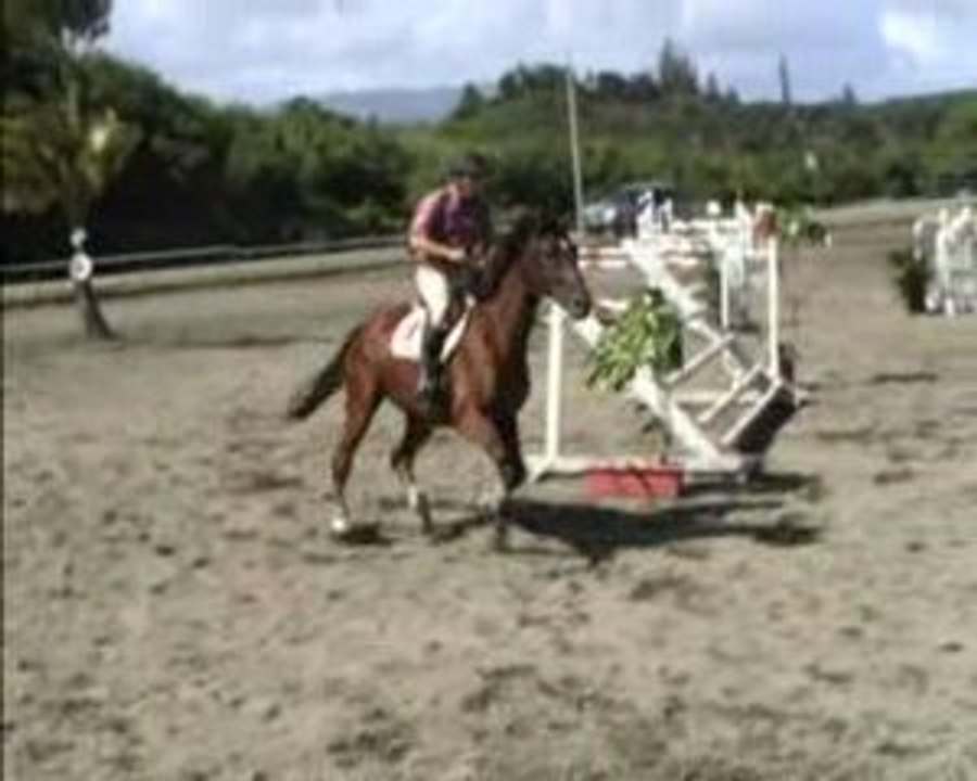 CSO Pourquoi Pas du Kato Intraclub 1m10-1m50