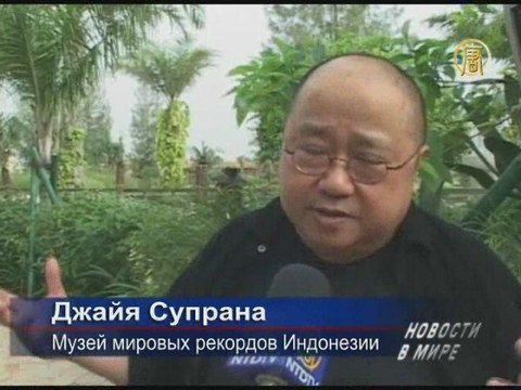 Самый длинный в мире навесной сад создают в Индонезии