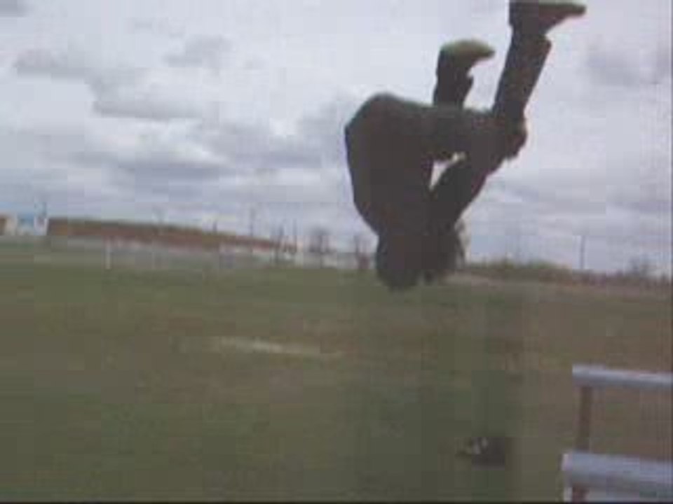 Training/freerun