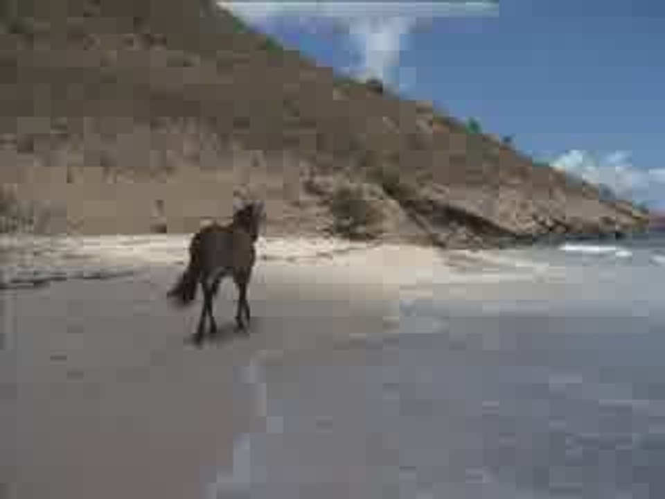 Anniversaire 1 an ensemble 03 mai 2009_0001