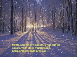 Alcanza tus suenos con La Ley de La Atraccion