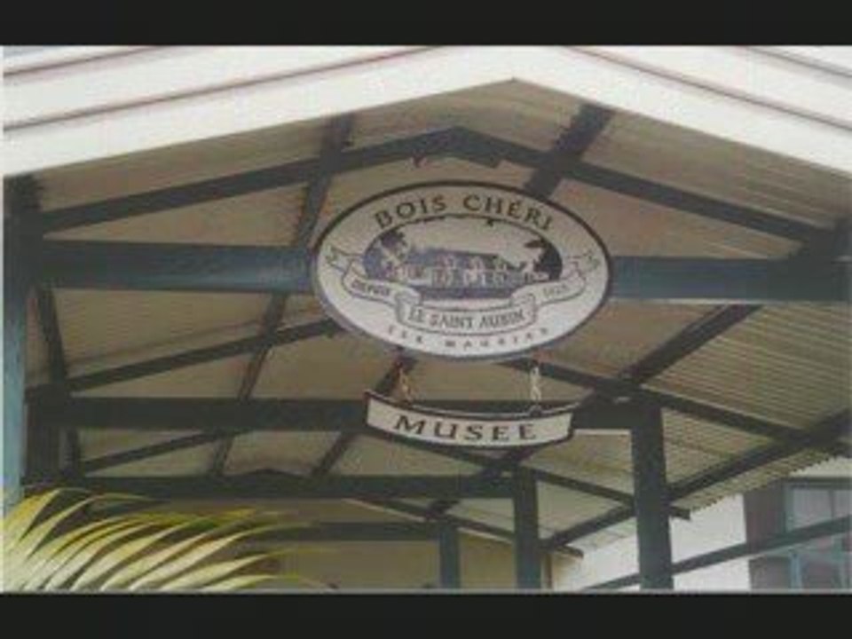 Le Thé de l'île Maurice