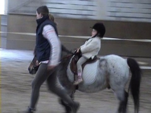 poney camille au trot