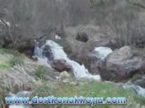 DÖRTKONAK KÖYÜ FOKAS MEVKİİ