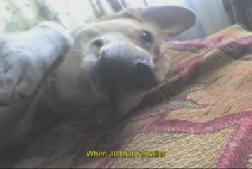 LEX (por siempre te recordare)