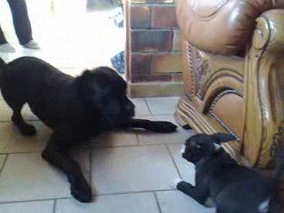 2ème rencontre avec Diana
